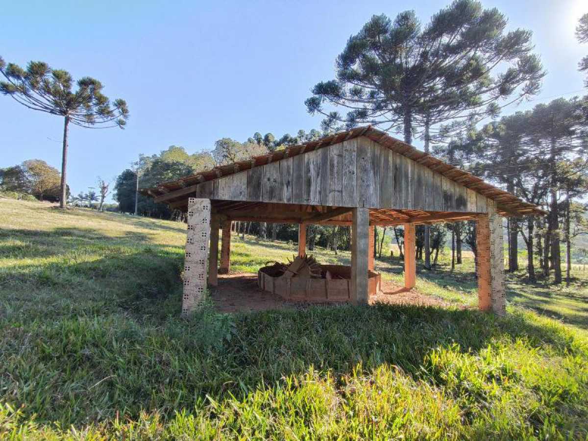Chácara, 10 hectares - Foto 14