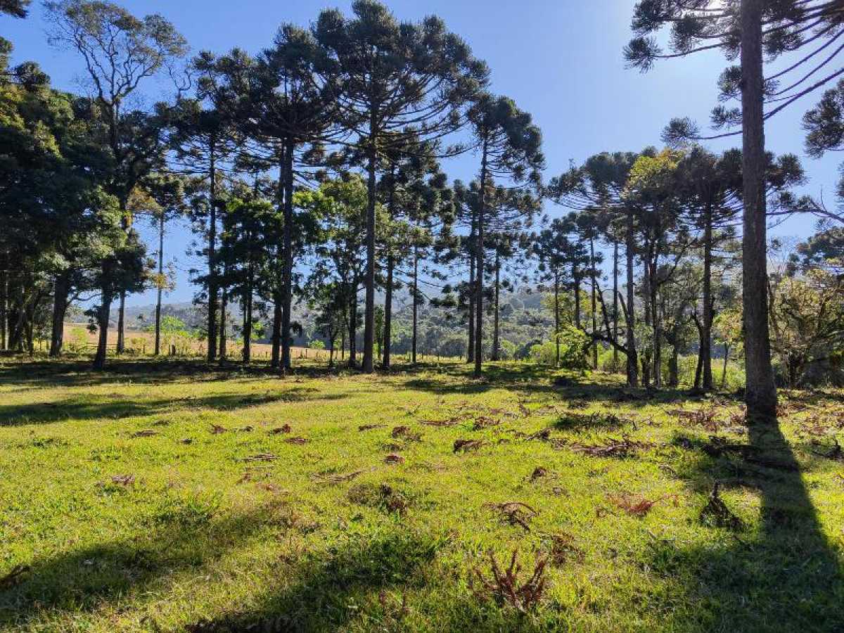Chácara, 10 hectares - Foto 15