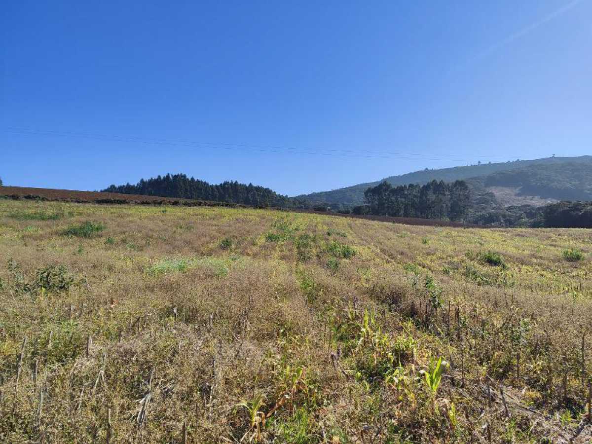 Chácara, 10 hectares - Foto 16