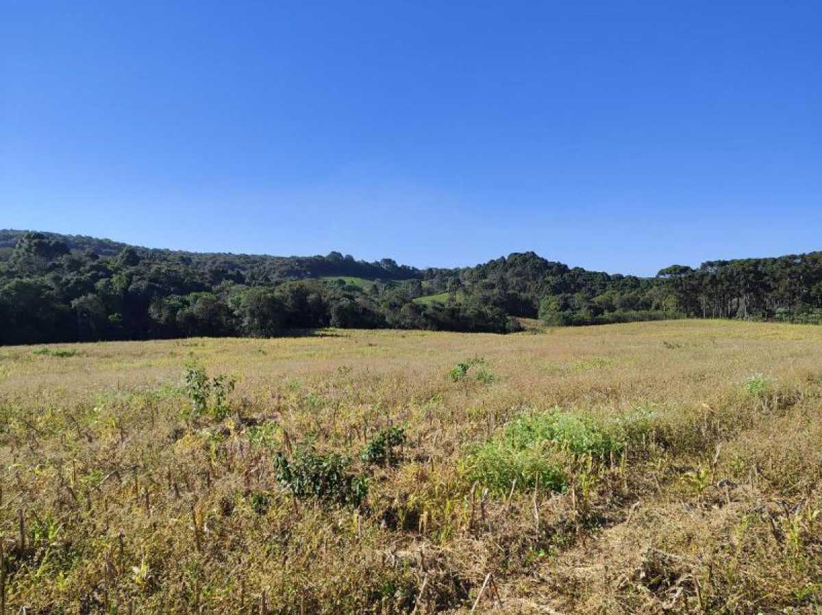 Chácara, 10 hectares - Foto 18