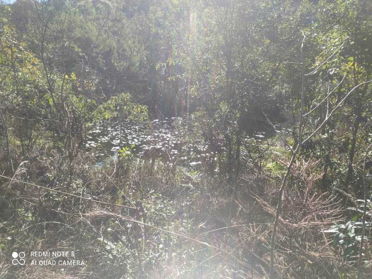 Chácara, 10 hectares - Foto 19
