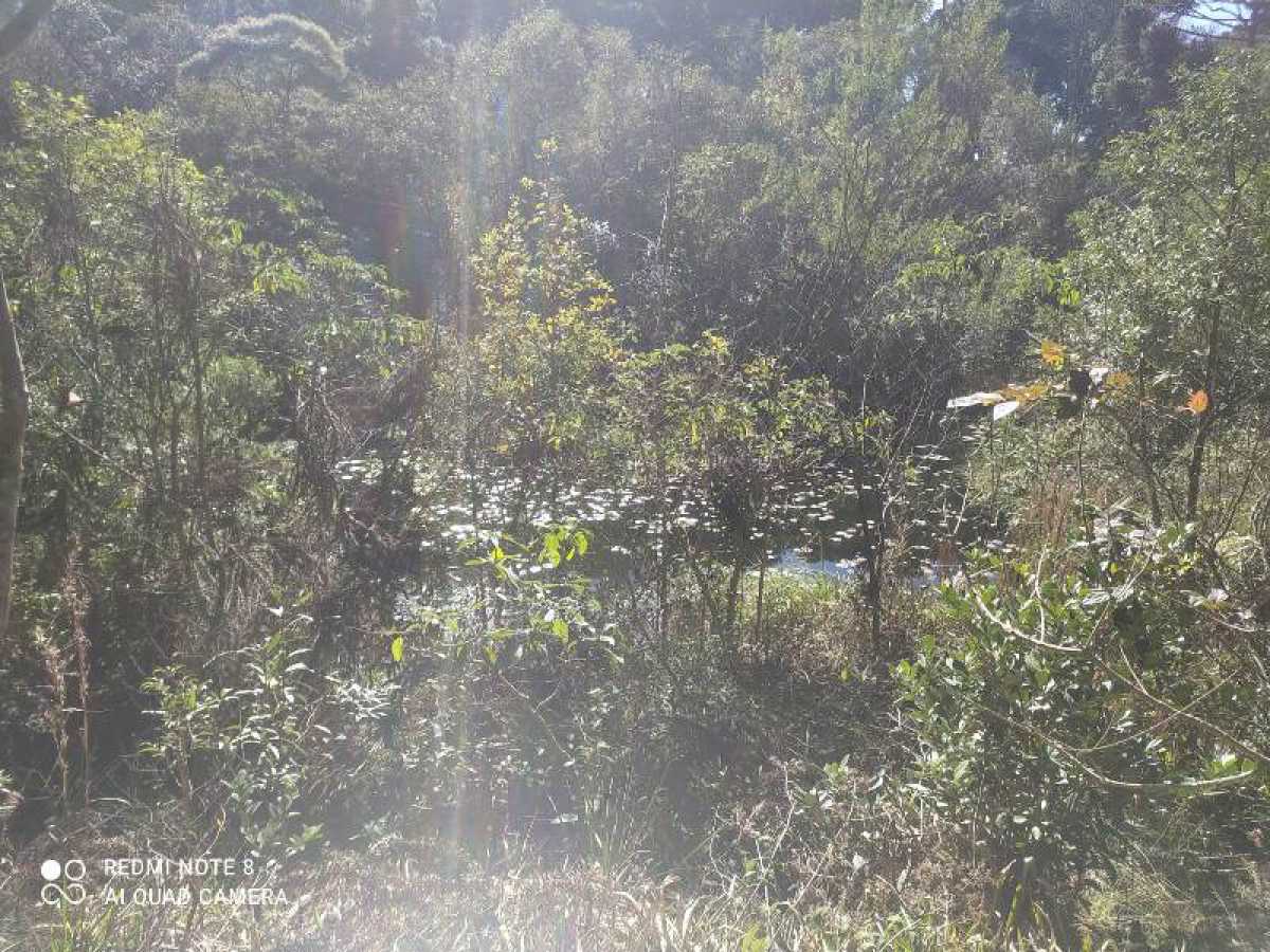 Chácara, 10 hectares - Foto 28