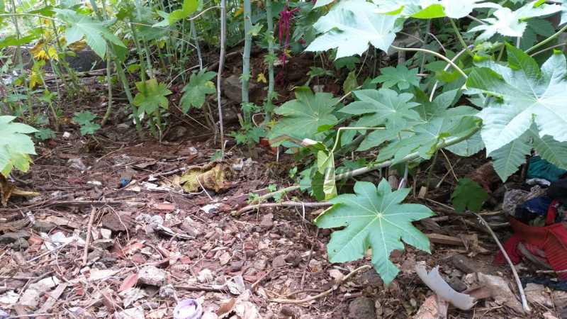 Terreno à venda, 580 - Foto 5