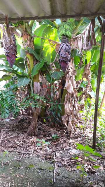 Terreno à venda, 390 - Foto 24