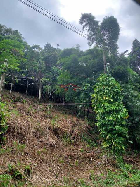 Terreno à venda, 560 - Foto 5