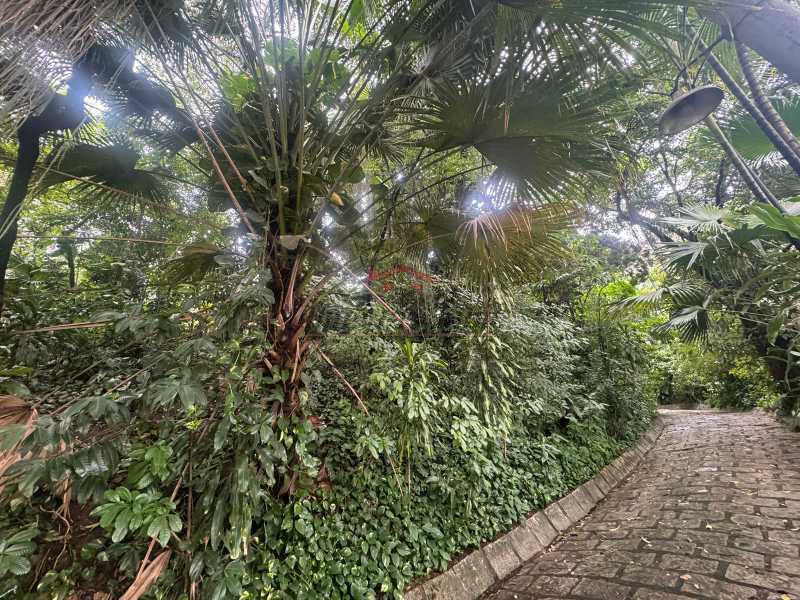 Sítio à venda, 4474m² - Foto 7