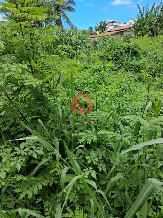 Terreno, 630 m² - Foto 3