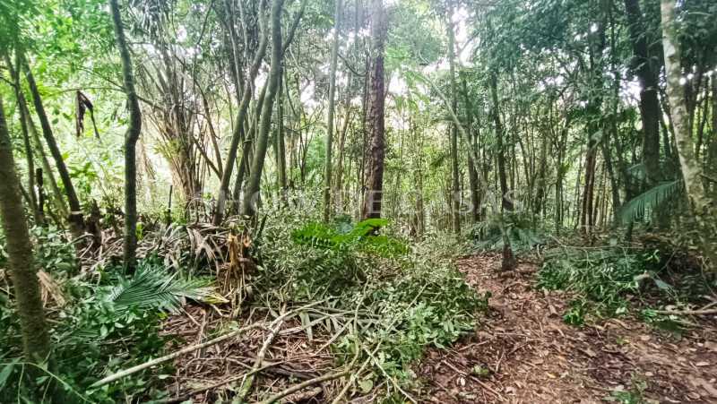 Terreno à venda, 1280 - Foto 3