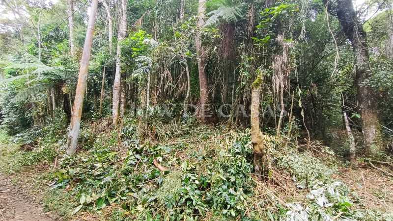 Terreno à venda, 1280 - Foto 5