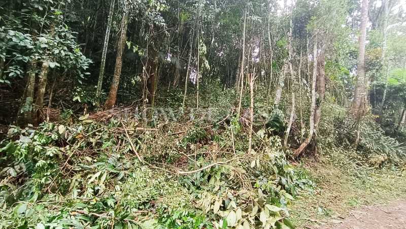 Terreno à venda, 1280 - Foto 6