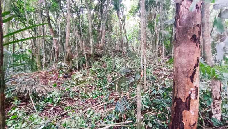 Terreno à venda, 1280 - Foto 7