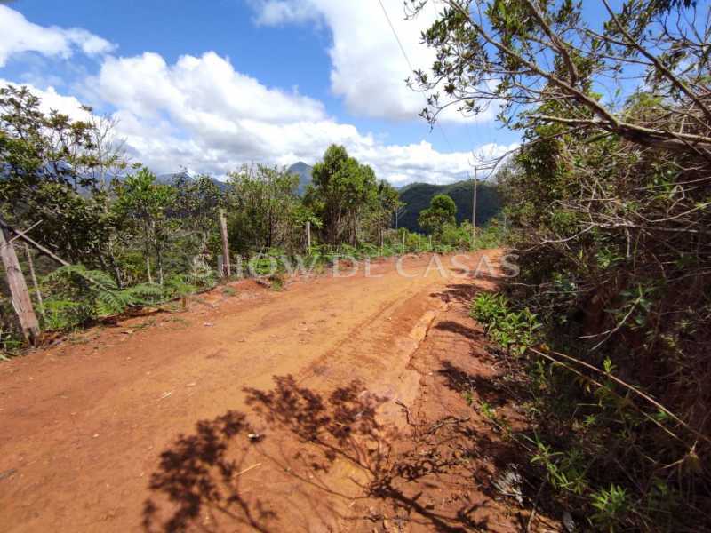 Terreno à venda, 1778 - Foto 6