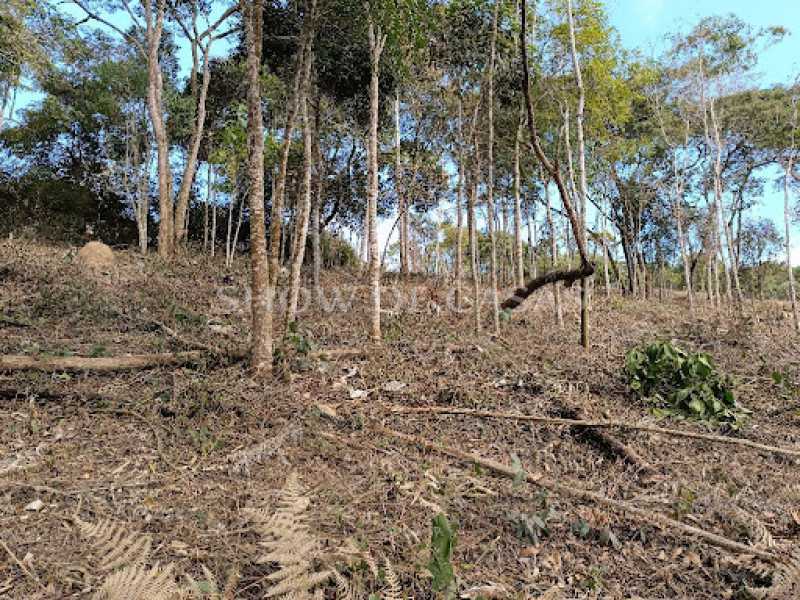 Terreno à venda, 4337 - Foto 4