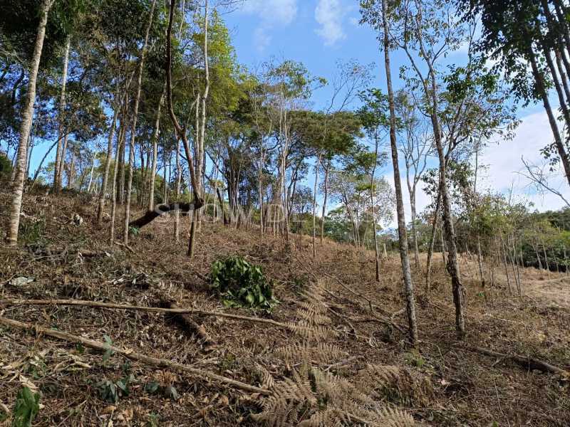 Terreno à venda, 4337 - Foto 10