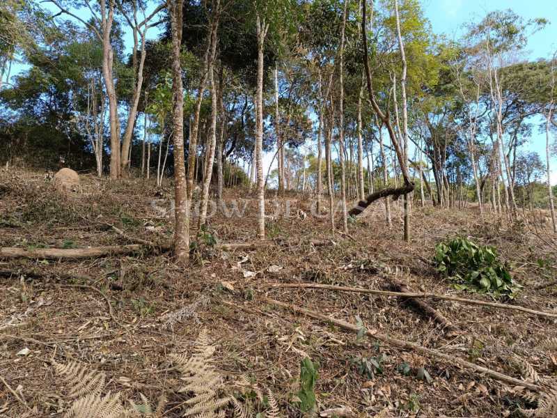 Terreno à venda, 4337 - Foto 2