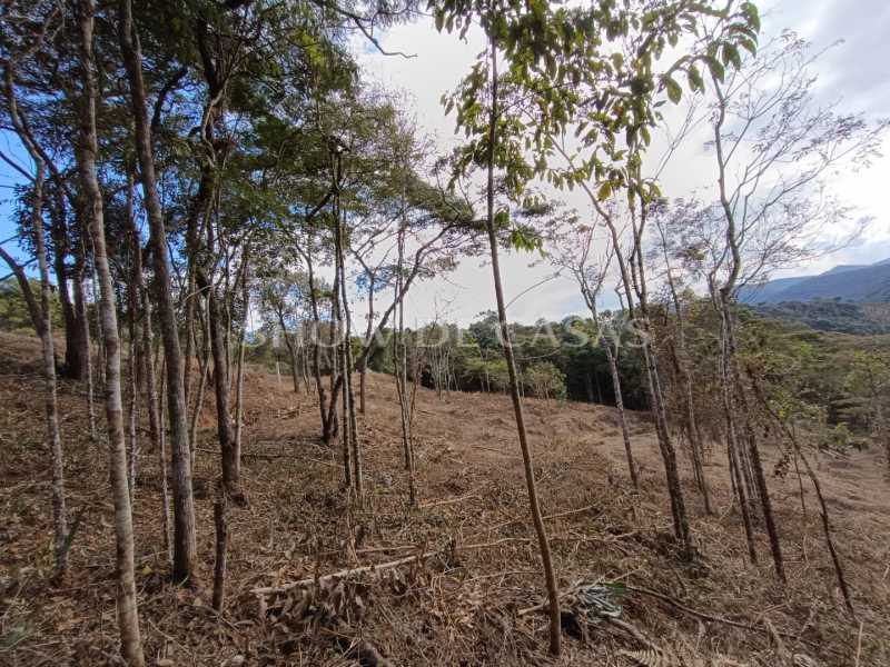 Terreno à venda, 4337 - Foto 14