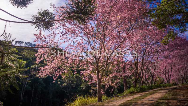 Terreno à venda, 506 - Foto 15