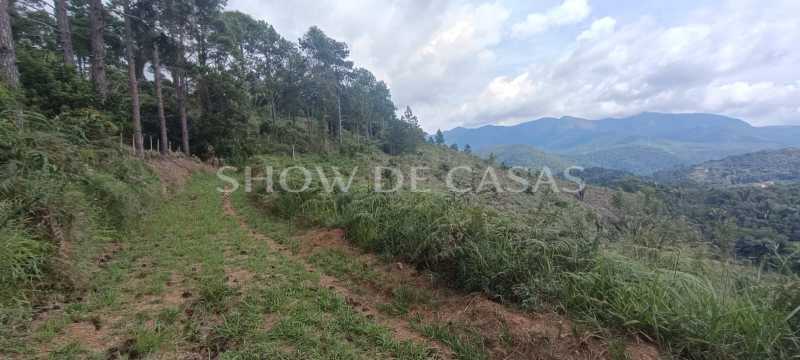 Terreno à venda, 1555 - Foto 2