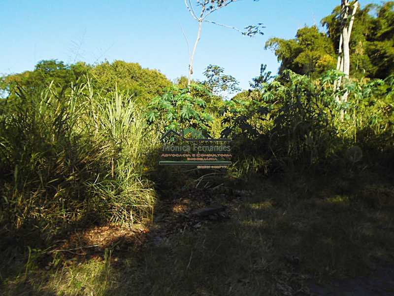 Terreno à venda, 2129 - Foto 7