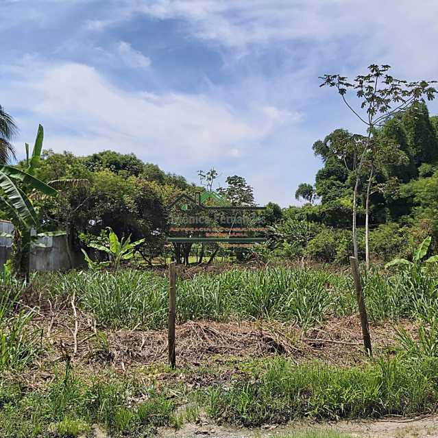 Terreno à venda, 2129 - Foto 11