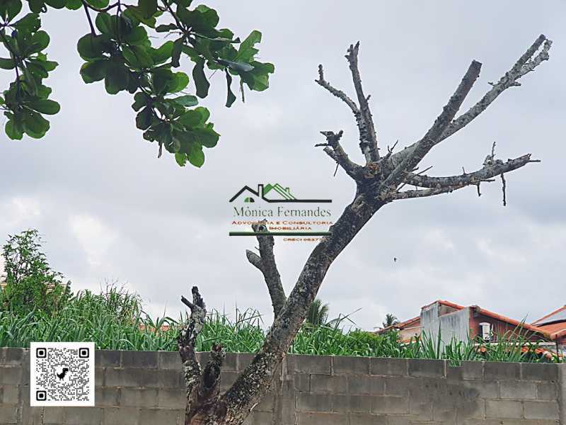 Terreno à venda, 480 - Foto 4