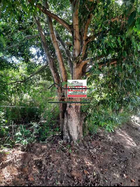Terreno - Foto 4