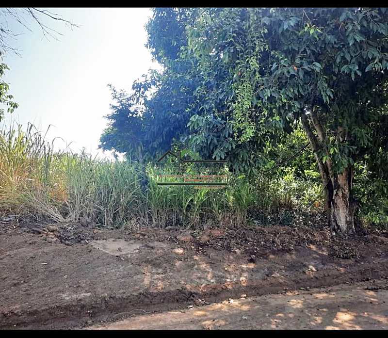 Terreno - Foto 6