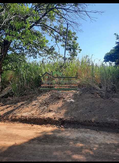 Terreno - Foto 8