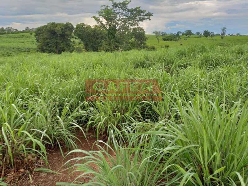 Fazenda-Sítio-Chácara, 2000 m² - Foto 2