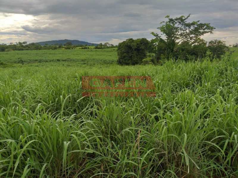Fazenda-Sítio-Chácara, 2000 m² - Foto 3